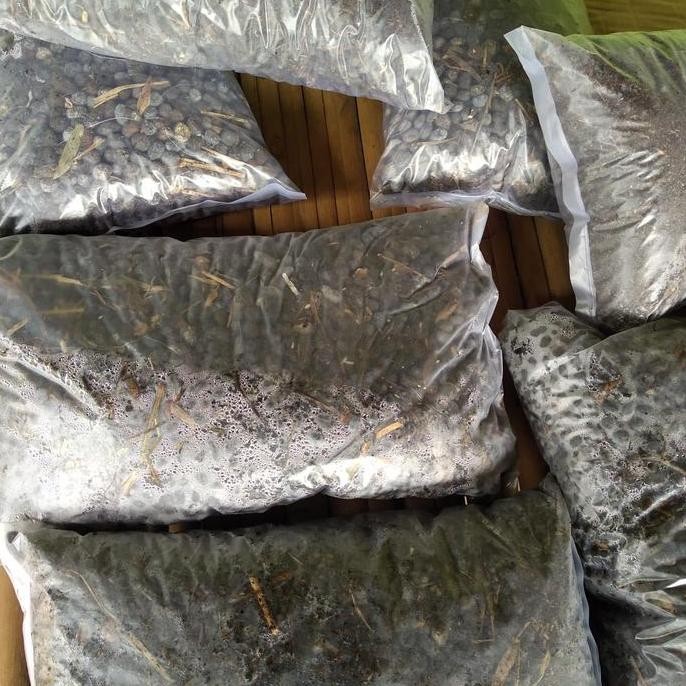 

Terlaris Pupuk Kotoran Kambing 1Kg/Pupu Kandang Kambing 1Kg