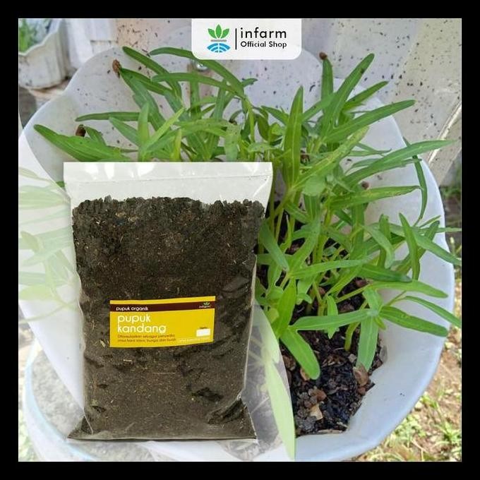 

Terlaris Media Tanam Organik Pupuk Kandang 2,5 Liter Infarm