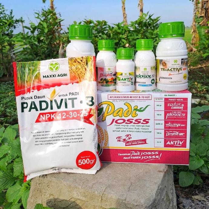 

Terlaris Paket Padijosss Merah Untuk Hasil Panen Padi Yang Melimpah