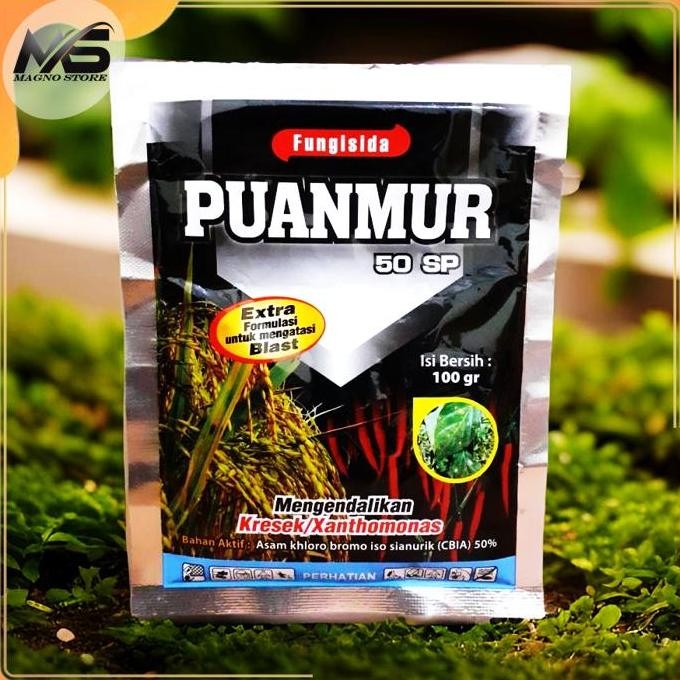

Terlaris Puanmur 50 Sp - Fungisida Untuk Atasi Kresek & Blast Pada Padi & Horti - 100 Gram