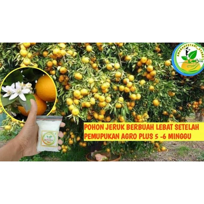 

Terlaris Pupuk Agro Bibit/Pupuk Agro/Pupuk Buah/Pupukbunga/Pupukorganik/Npk/Zpt