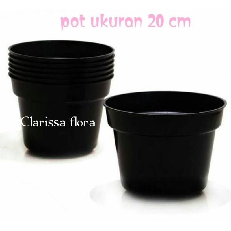 Pot Tanaman Hias Ukuran 20 Cm / Pot Warna Hitam Ukuran 20Cm / Pot Pohon / Pot Bunga