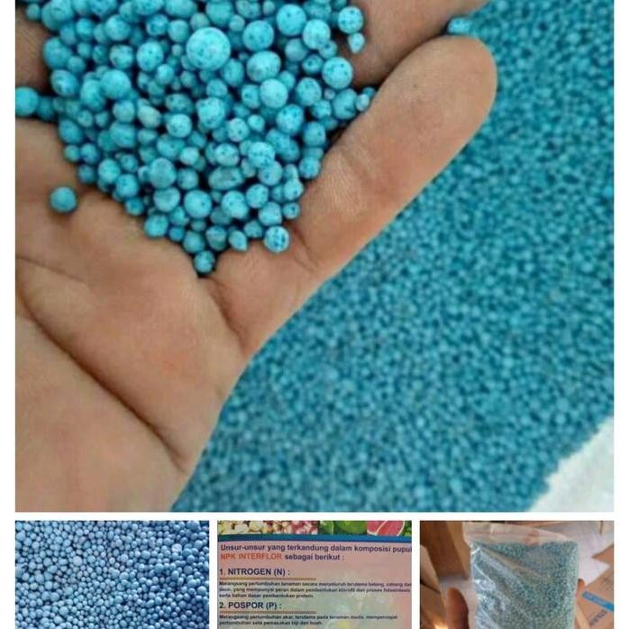 

Terlaris Pupuk Npk Mutiara Kemasan 250 Gram