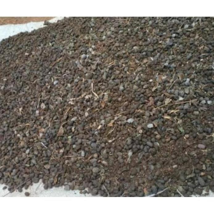 

Terlaris Pupuk Kandang Kambing Per 1Kg