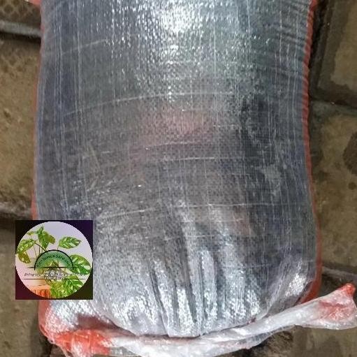 

Terlaris Pupuk Kandang Kambing Murni