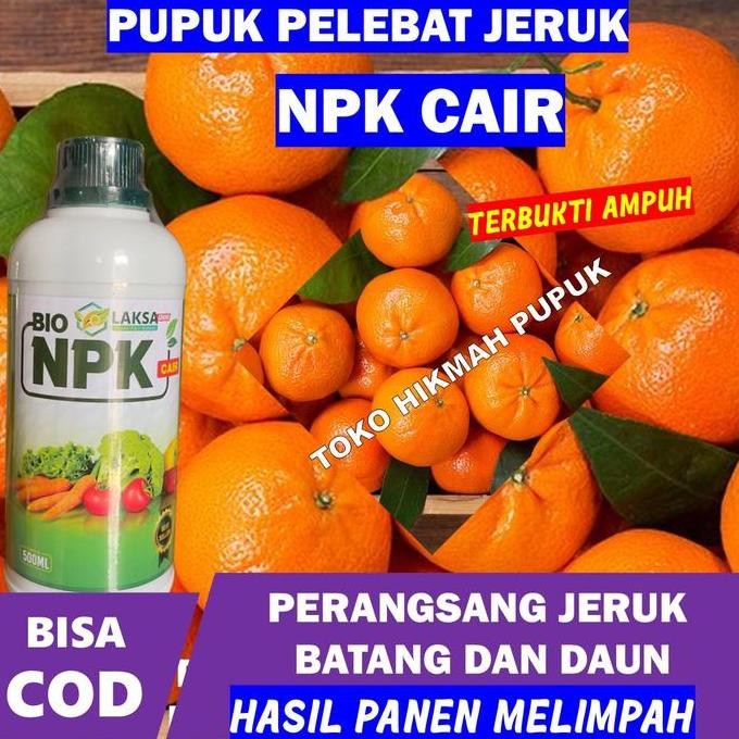 

Terlaris Pupuk Npk Perbanyak Jeruk Besar & Banyak - Laksa 500 Ml Panen Jeruk Lebih Berbobot, Pupuk Npk Cair Paling Ampuh Tinggal Semprot Jeruk Langsung Lebat Dan Berat - Pupuk Semprot Organik Terbaik Pelebat Jeruk Hasil Panen Melimpah 100% Original
