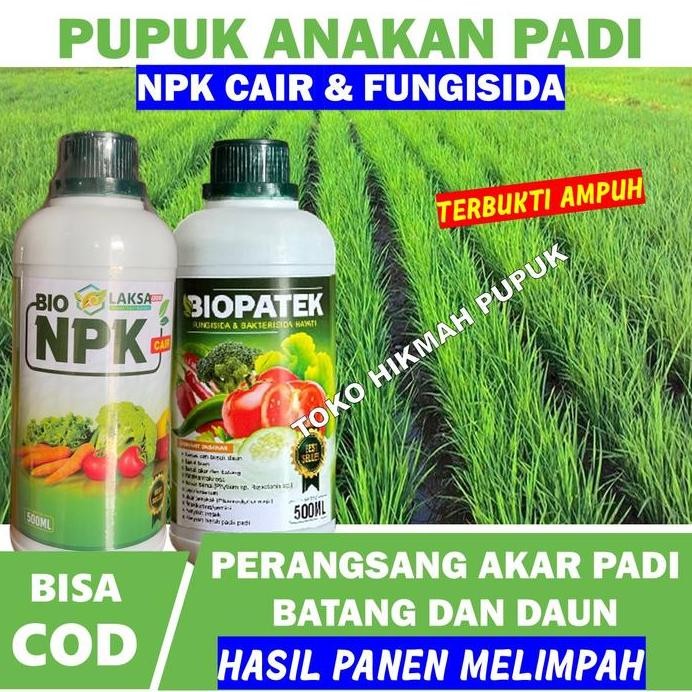 

Terlaris (Promo) Paket Fungisida Dan Npk Pupuk Anakan Padi Yang Bagus Penambah Bobot Padi Perbanyak Anakan Padi Hasil Panen Lebih Banyak Obat Penyubur Akar Padi Biar Kuat Di Musim Hujan