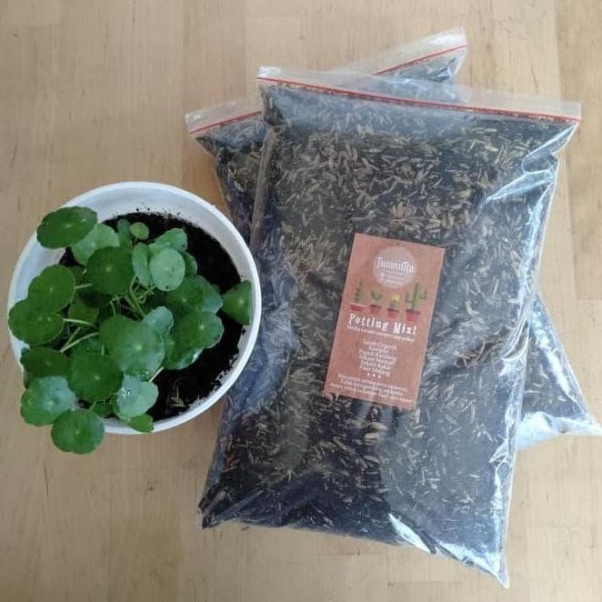 

Terlaris Media Tanam 1Kg Sekam Bakar Pupuk Kandang Kompos Siap Pakai