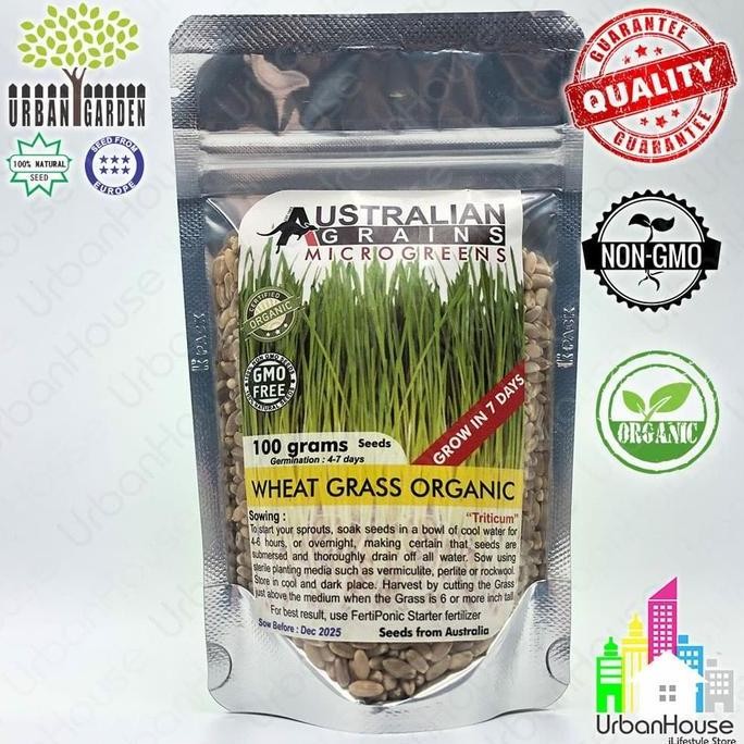 

Terlaris Benih Wheat Berries Wheat Grass Organic Import Rumput Gandum Organik