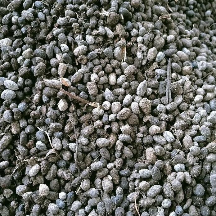 

Terlaris Pupuk Kandang Kambing Murni Media 1Kg