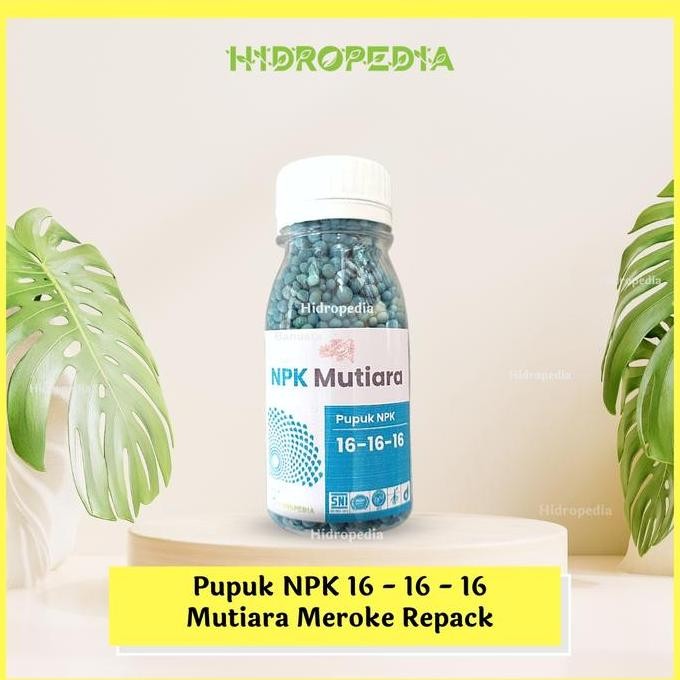 

Terlaris Pupuk Npk Mutiara 16-16-16 Repack - Isi 85 Gr - Berkualitas Hidropedia