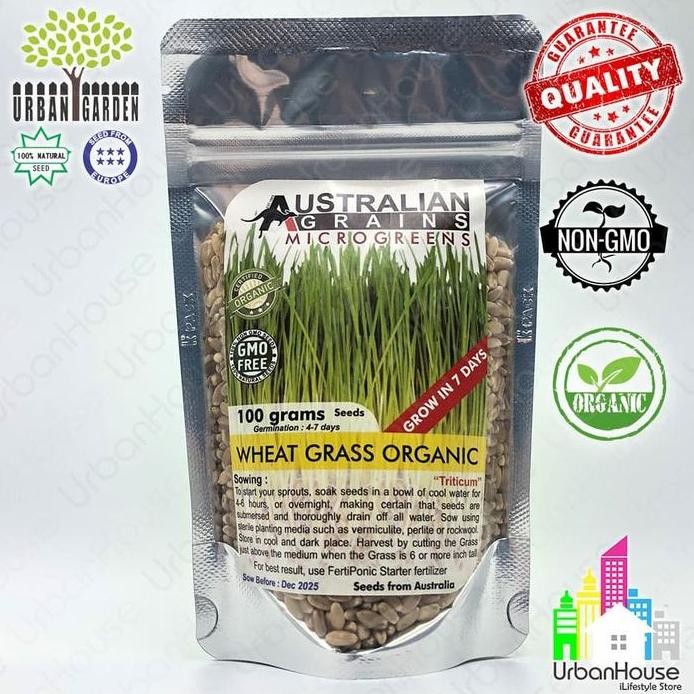 

Terlaris Microgreen-Benih Wheat Grass Organic 100G Import Rumput Gandum Organik