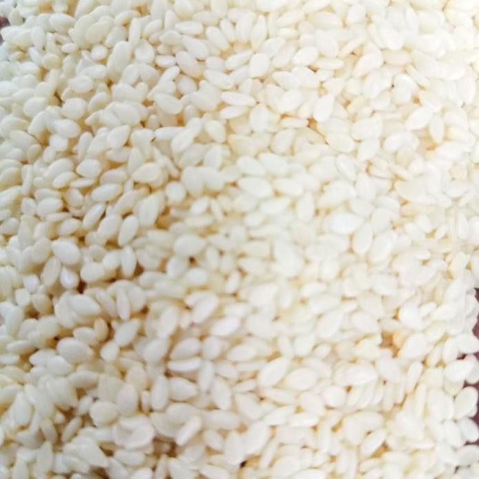 

Terlaris Biji Wijen Putih 100Gr