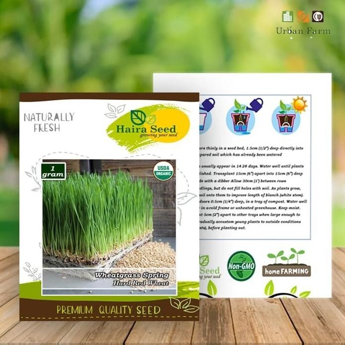 

Terlaris Hjk Benih-Bibit Rumput Gandum/Wheatgrass Merah Organik (Haira Seed)