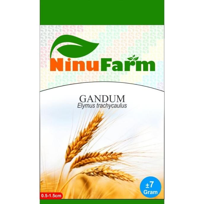 

Terlaris Benih Gandum 7Gram Benih Gandum 7Gram