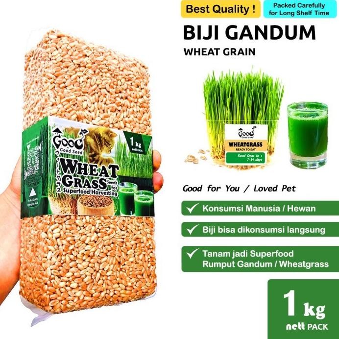 

Terlaris Terlaris Goodseed - Biji Gandum (Benih Wheatgrass) Superfood Rumput Kucing 1 Kg