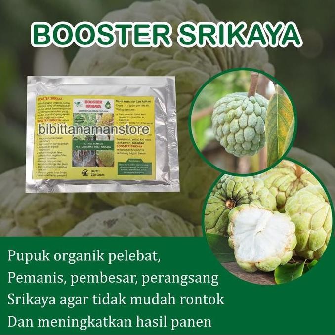 

Pupuk Organik Pelebat Buah dan Booster Srikaya Cepat Berbuah Lebat