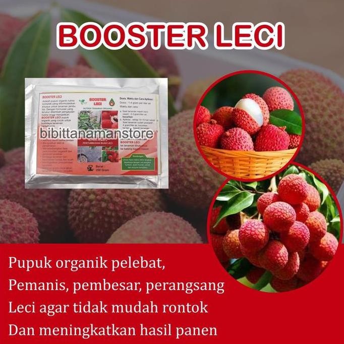 

Pupuk Organik Pelebat Buah dan Booster Leci Cepat Berbuah Lebat