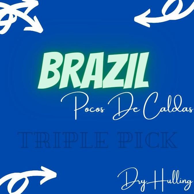 

GREEN BEAN / BIJI KOPI ARABIKA IMPORT BRAZIL POCOS DE CALDAS - DRYHULL TERMURAH