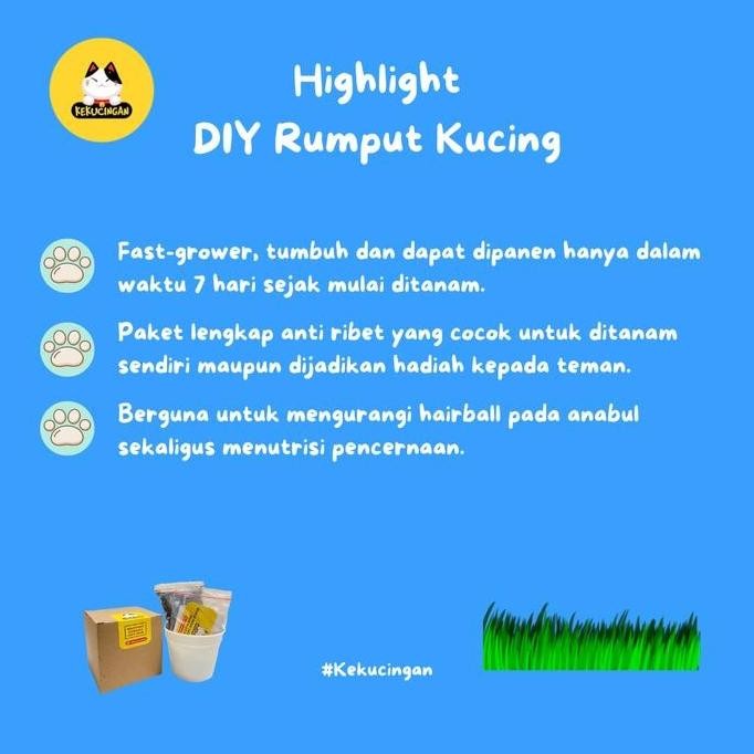 

Terlaris Um(1) Rumput Kucing Paket Tanam Benih Gandum Wheatgras Lengkap