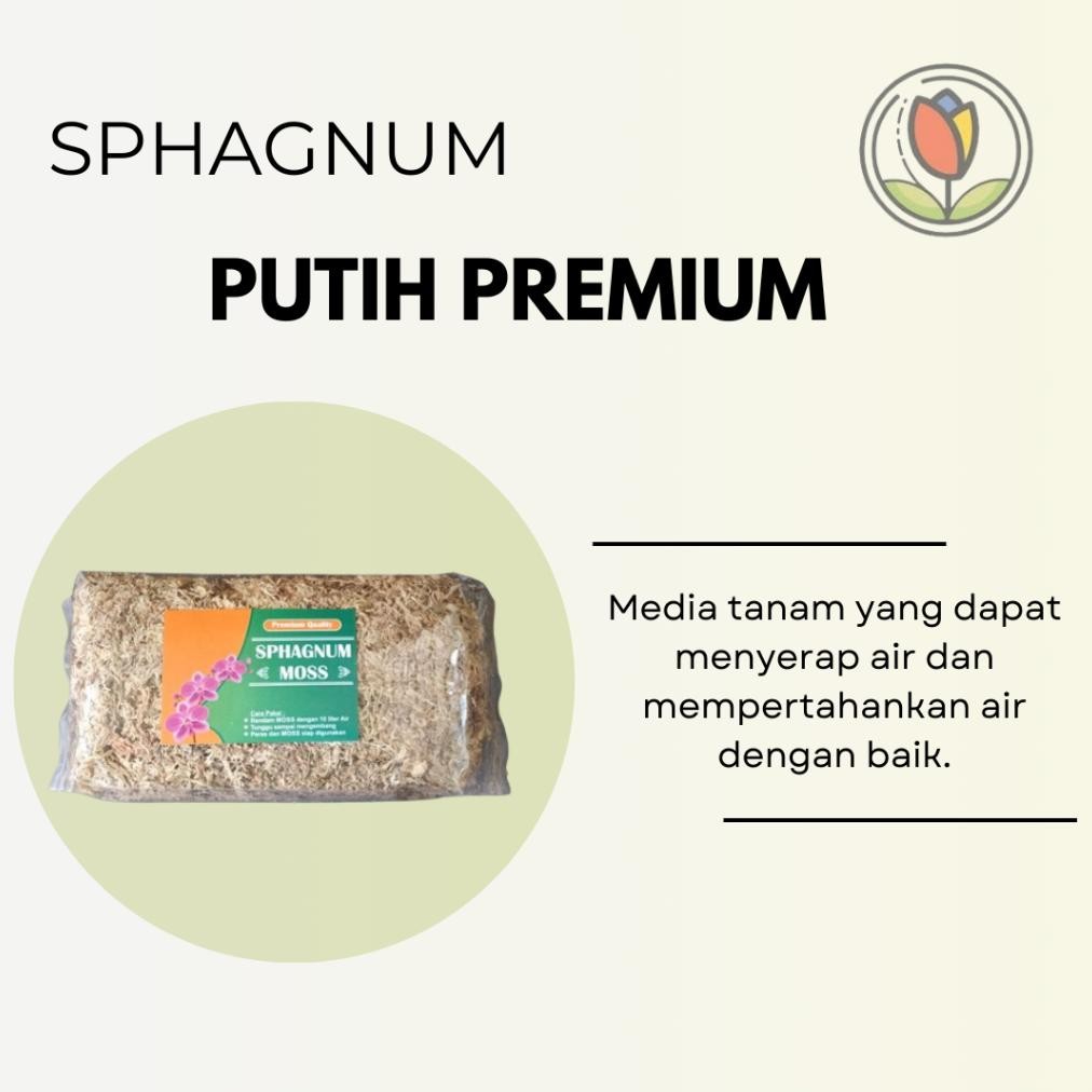 Media Tanam Anggrek | Sphagnum Moss Putih Premium