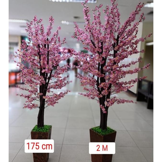 Pohon Bunga Meihua Sakura Imlek Angpao Besar Tinggi 175 Cm 2 M Imlek Co