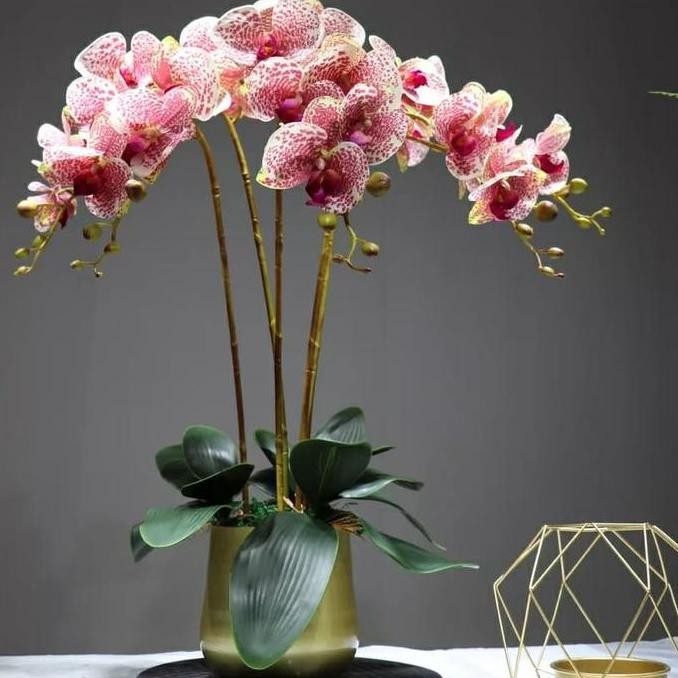 Grosir Bunga Anggrek Artificial Latex Import (Real Touch)-Motif Cream-9Heads