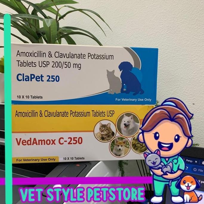 Antibiotik hewan anjing kucing mirip clavamox 250mg per strip