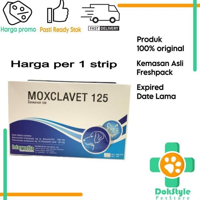 Moxclavet 125mg antibiotik anjing kucing mirip clavamox per 1 strip