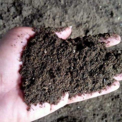 

Terlaris Aht - 1 Karung Pupuk Kandang Fermentasi Siap Pakai - Karung 1 Cocok Untuk Segala Jenis Tanaman