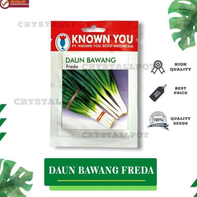 

Terlaris Ready Stok Benih Bibit Daun Bawang Freda Known You Seed Kys Freda Kemasan Merah