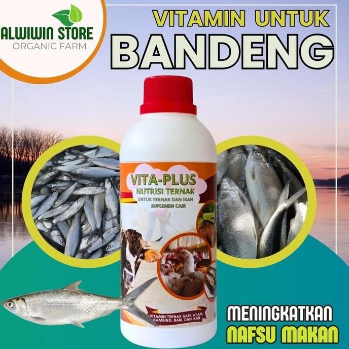 Terlaris Vitamin Ikan Bandeng, Vitamin Buat Ikan Bandeng, Vitamin Pembesar Ikan Bandeng Vita-Plus Al