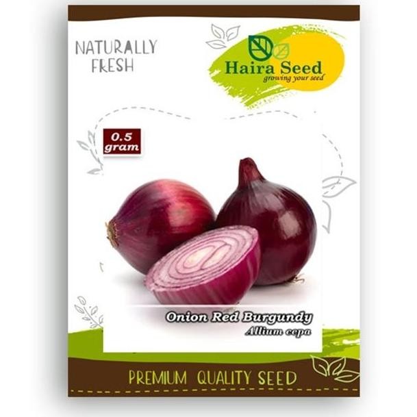 

Terlaris Benih Bibit Bawang Merah Red Burgundy- Haira Seed