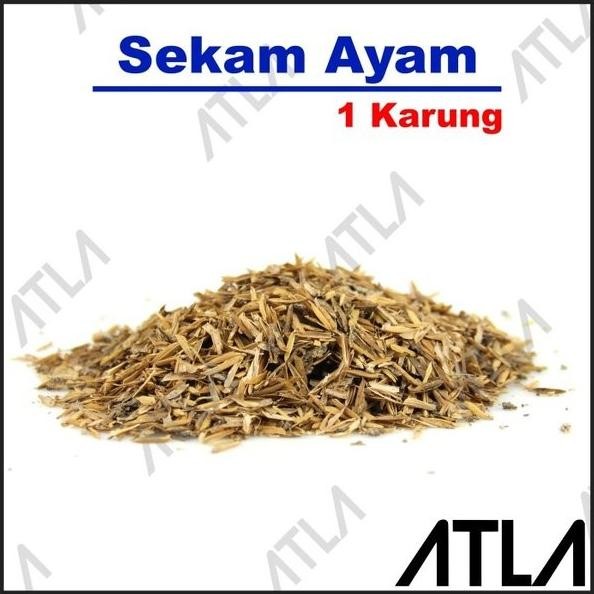 

Terlaris Sekam Campur Kandang Ayam Pupuk Kotoran Kompos Media Tanam Tanaman