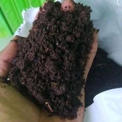 

Terlaris Allshop1- Pupuk Kandang Kohe Kambing 100% Murni Dan Halus 1 Sak