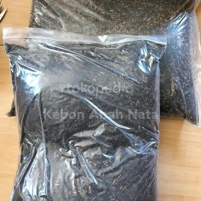 

Terlaris Pupuk Kandang (1 Paket 2 Bungkus)