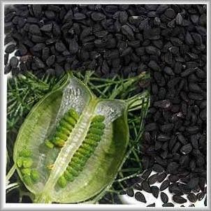 

Terlaris Biji Wijen Hitam (50 Gram) / Black Sesame Seeds