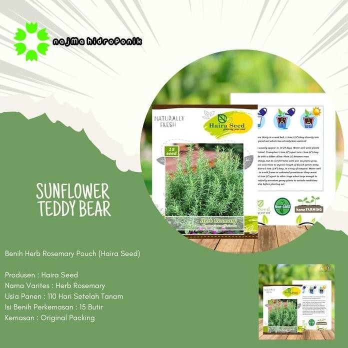 

Terlaris Benih / Bibit Herb Rosemary Pouch