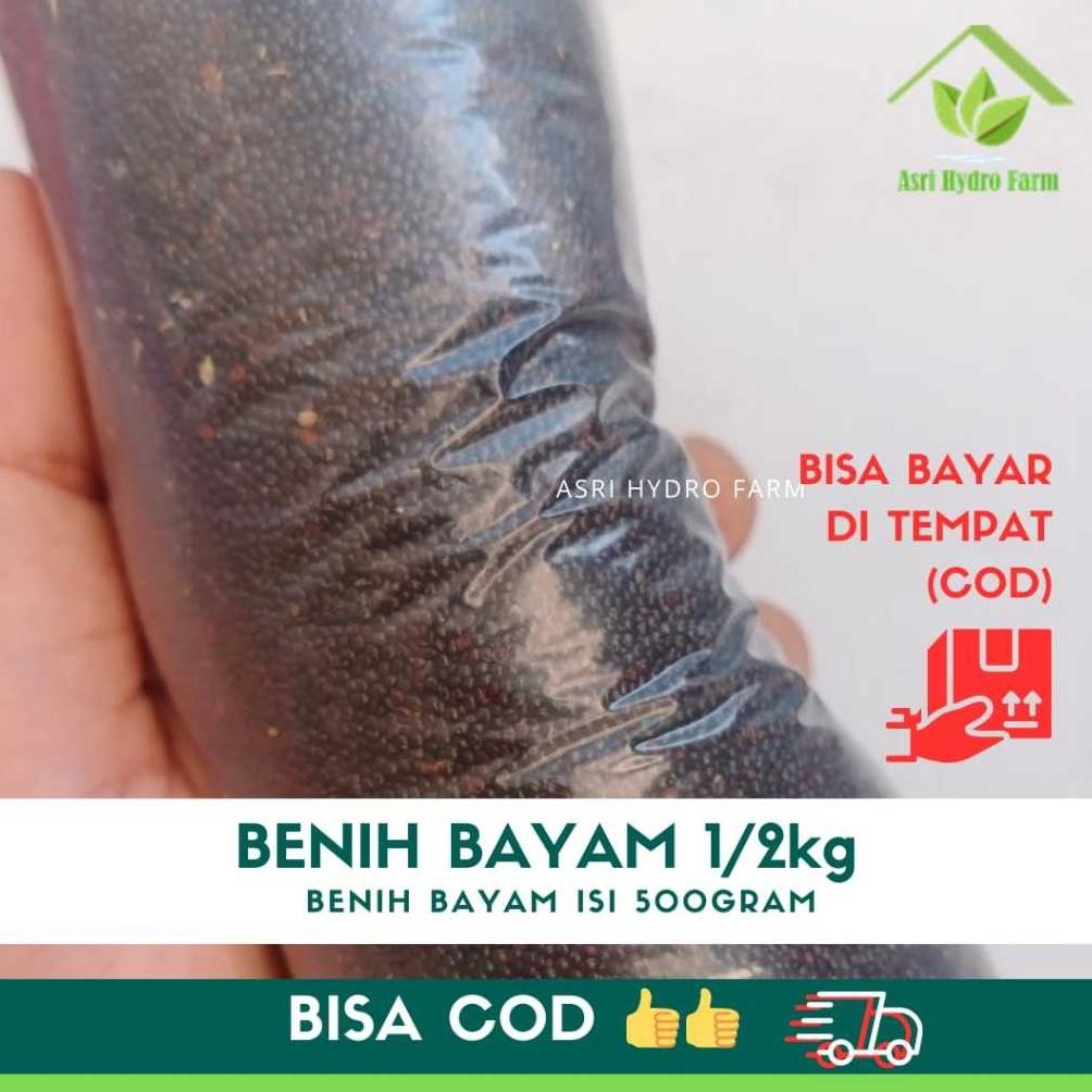 BENIH BAYAM 1/2KG / 500GRAM / 5ONS bayam cabut biji sayur bayam 1/2kg benih unggul