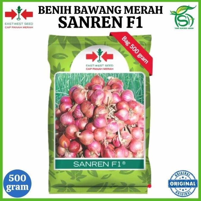 

Terlaris Ready!! Benih Bawang Merah Sanren F1 (500 Gram) - Bibit Cap Panah Merah 500 Gr