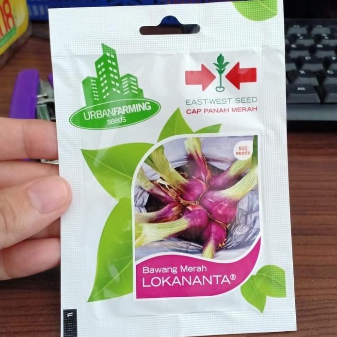 

Terlaris Benih Bibit Bawang Merah Lokananta Cap Panah Merah Tedspo 6797Ji