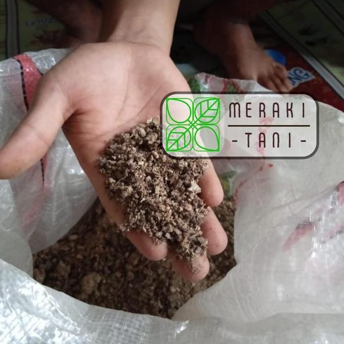 

Terlaris Terbaru Pupuk Kandang Ayam Fermentasi Tanpa Sekam Per 10Kg