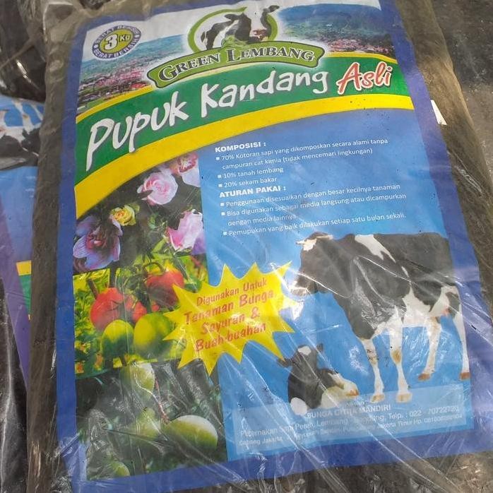 

Terlaris Naura Florist/Benih/Pupuk Kandang Siap Pakai Komplit.