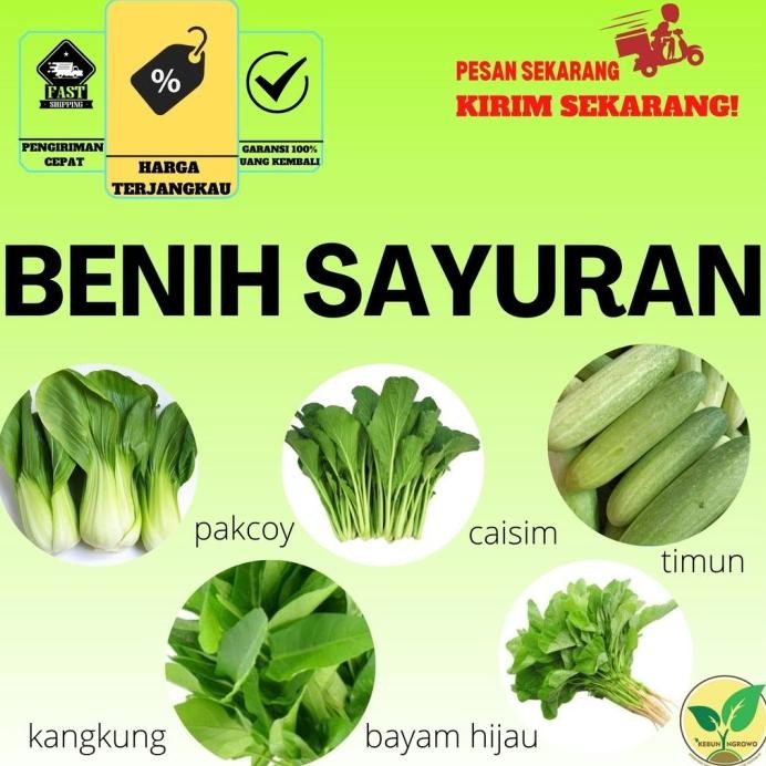 

Terlaris Benih Bibit Seed Biji Sayuran/Sawi/Pakchoy/Selada/Bayam/Kangkung/Seledri/Terong/Tomat/Cabe/Samhong/Wortel/Kemangi/Bawang Daun/Bawang Merah/Indigofera