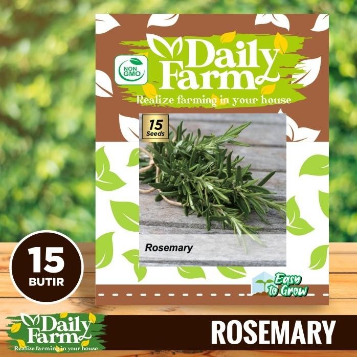

Terlaris Daily Farm - Benih Bibit Rosemary - Bibit Herb Seed