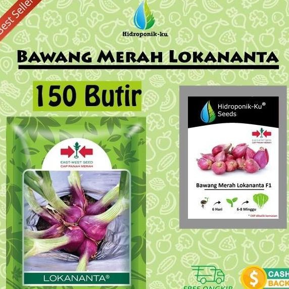 

Terlaris Terlaris!! Benih/ Bibit Bawang Merah 150 Biji Lokananta F1 Hibrida