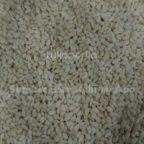 

Terlaris Wijen Putih 100 Gram