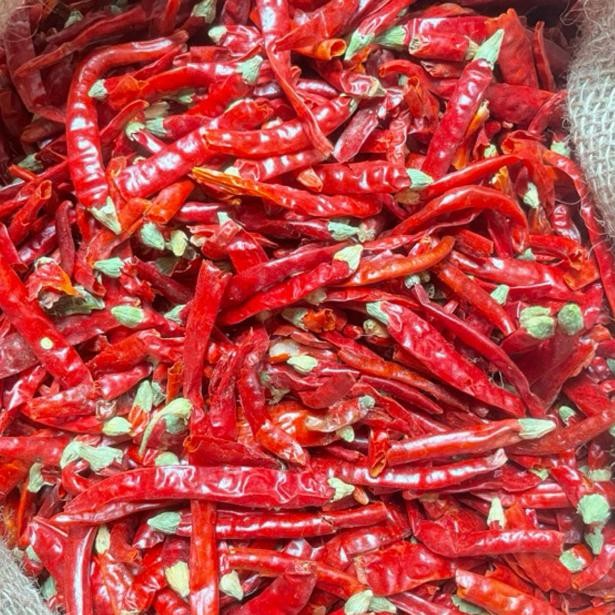 

Cabe Kering Import Super Pedas/ Extra Pedas AST nUg
