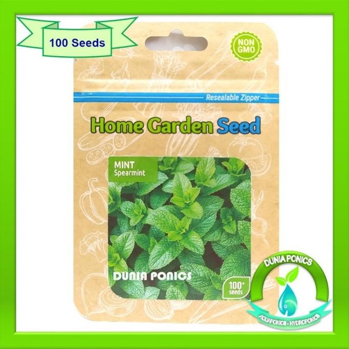 

Terlaris Benih Bibit Daun Mint Spearmint Home Garden Seed Herb Herbal 1 Pack