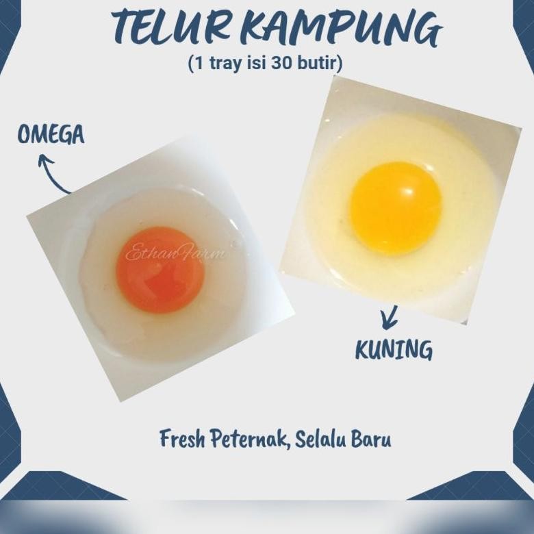 

(per 10 butir) Telur Kampung Omega (KURIR INSTAN) nUg